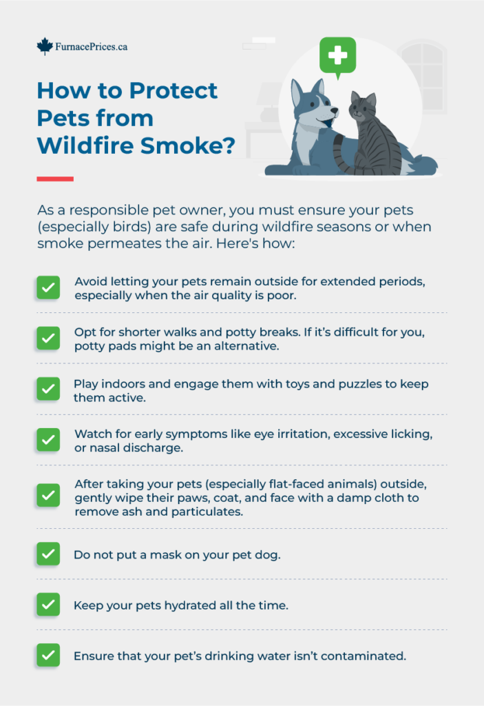 Protect Pets from Wildfire Smoke