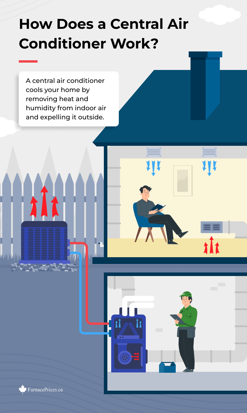 How Does a Central Air Conditioner Work Infographic
