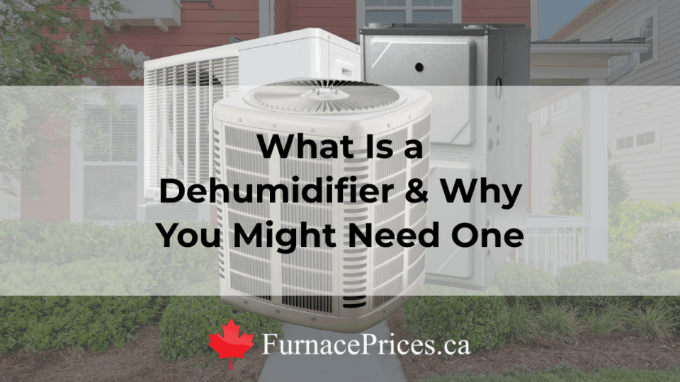 Dehumidifier