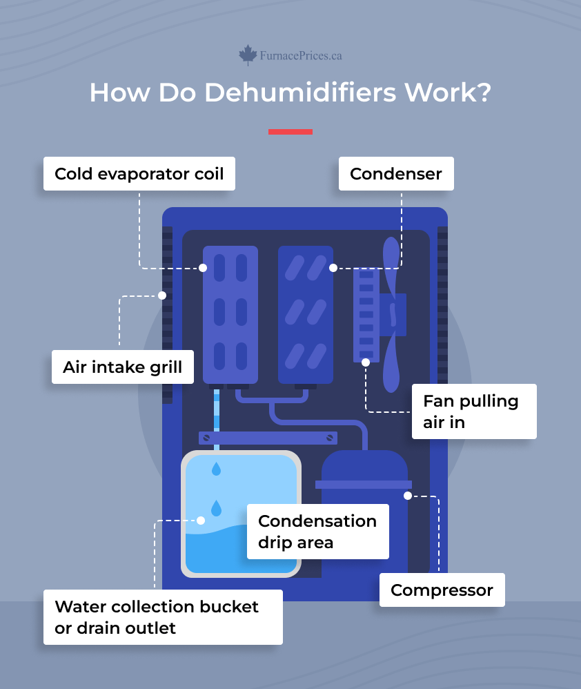 How Do Dehumidifiers Work Infographic