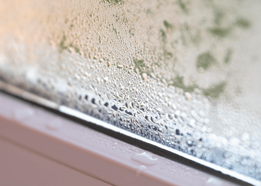 When a Dehumidifier May Not Be Enough